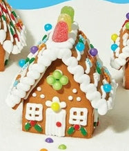 Load image into Gallery viewer, Gingerbread House &amp; Painting Class
